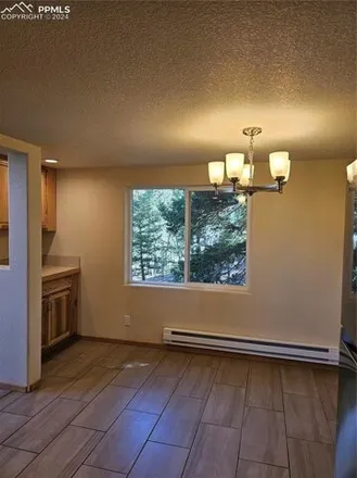 Image 7 - 501 Wakanda Trl, Woodland Park, Colorado, 80863 - House for sale