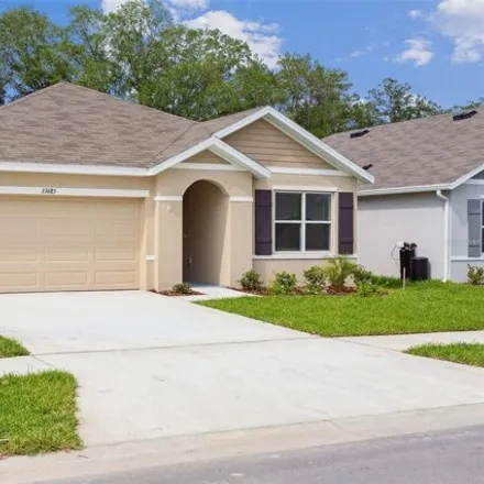 Image 3 - Field Maple Loop, Pasco County, FL 33545, USA - House for rent