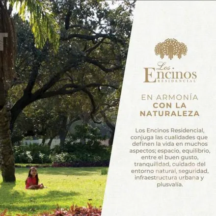 Buy this 3 bed house on Calle Encinos in ENCINOS NORTE, 89603 Altamira