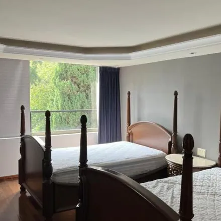 Rent this 3 bed apartment on Calle Plinio 505 in Miguel Hidalgo, 11530 Santa Fe