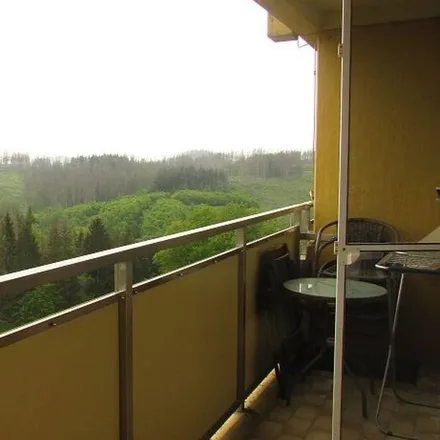 Image 7 - Braunlage, Lower Saxony, Germany - Apartment for rent