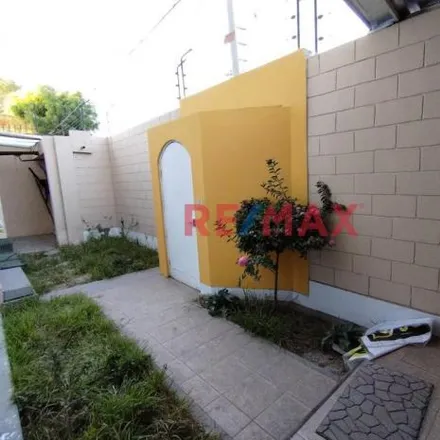 Rent this studio house on Avenida las Palmeras in Santa Maria del Pinar, Piura 20009