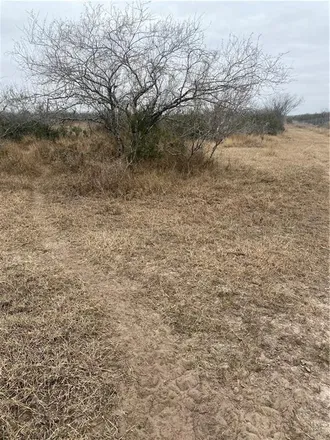 Image 6 - 361 County Road 449, Ben Bolt, Jim Wells County, TX 78332, USA - House for sale