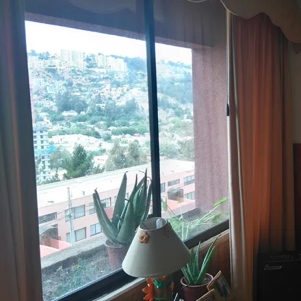Image 8 - Viña del Mar, Forestal, VALPARAISO REGION, CL - Apartment for rent