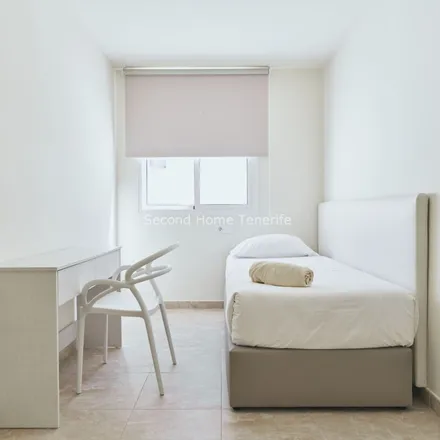 Image 6 - Paseo Petirojo, 38650 Arona, Spain - Apartment for rent