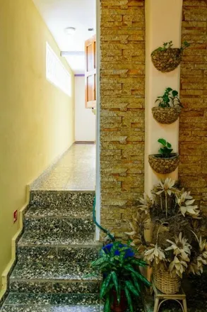 Image 6 - Viñales, PINAR DEL RIO, CU - House for rent