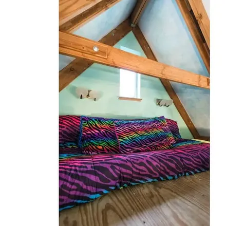 Rent this 1 bed house on Austin