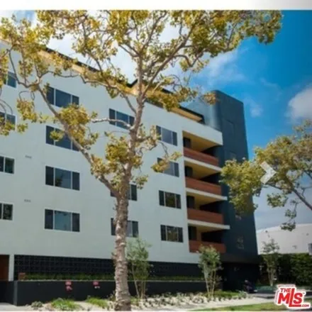 Rent this 1 bed house on 115 South Maple Drive in Beverly Hills, CA 90212