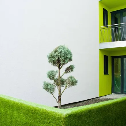 Image 9 - Bielefeld, North Rhine – Westphalia, Germany - Apartment for rent