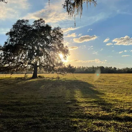 Image 4 - 7699 Southwest US Highway 27, Fort White, Columbia County, FL 32038, USA - Loft for sale