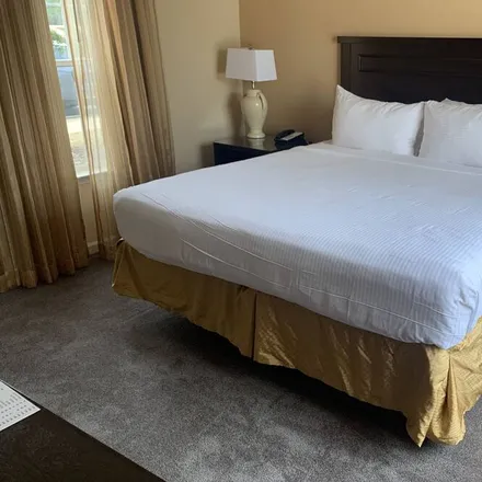 Rent this 4 bed condo on Williamsburg