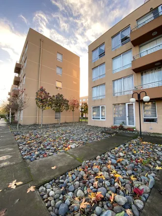 Image 8 - La Vega, 430 0525 Talcahuano, Chile - Apartment for sale
