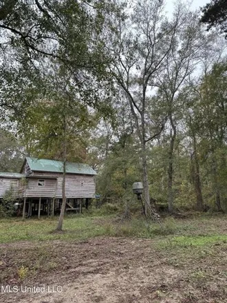 Image 3 - 151 River Loop, Perry County, MS 39423, USA - House for sale