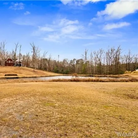 Image 2 - Clements Foley Road, Forest Trail, Tuscaloosa, AL 35473, USA - House for sale