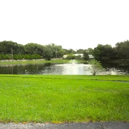 Image 9 - 2618 Pine Ridge Way North, Palm Harbor, FL 34684, USA - Condo for rent