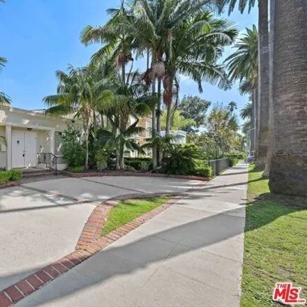 Rent this 4 bed house on 286 South Palm Drive in Beverly Hills, CA 90212