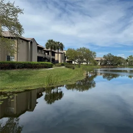 Image 2 - Waterford, Saint Petersburg, FL, USA - Condo for rent
