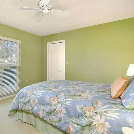 Image 4 - Palm Harbor, FL, 34683 - House for rent