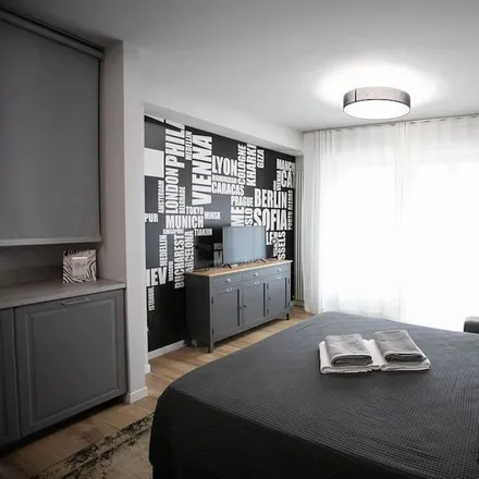 Rent this studio apartment on Vicolo Bancalegno 13