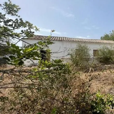 Image 8 - Vila Monte Farm House, 8700-069 Moncarapacho, Portugal - House for sale