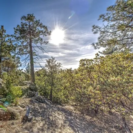 Image 8 - 52922 Double View Drive, Idyllwild-Pine Cove, Riverside County, CA 92549, USA - House for sale