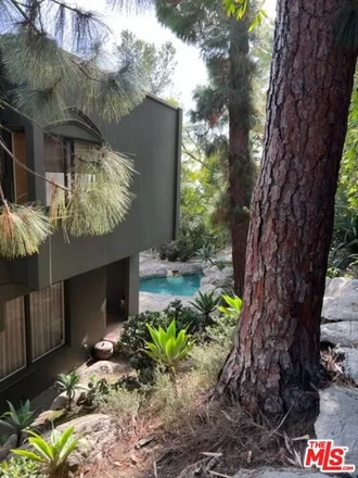Image 3 - 1263 Lago Vista Place, Beverly Hills, CA 90210, USA - House for sale