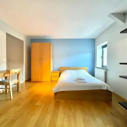 Rent this 1 bed apartment on Rue de la Briqueterie - Steenbakkerijstraat 42 in 1020 Brussels, Belgium