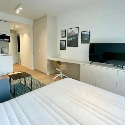 Rent this 1 bed apartment on Rue de Suisse - Zwitserlandstraat 21 in 1060 Saint-Gilles - Sint-Gillis, Belgium
