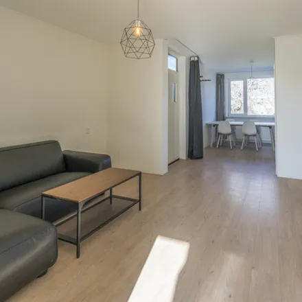 Image 7 - Botterstraat 62, 1034 BT Amsterdam, Netherlands - Room for rent