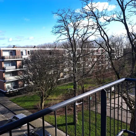 Rent this 3 bed apartment on Diogenesstraat 27 in 3076 AB Rotterdam, Netherlands