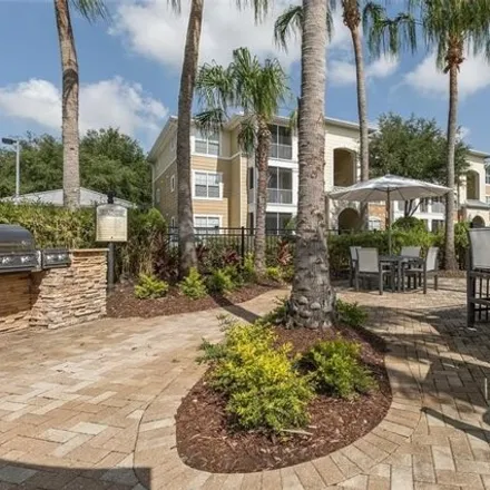 Rent this 1 bed apartment on Crosstown Club Place in Hillsborough County, FL 33619