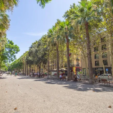 Image 4 - Rambla del Raval, 9, 08001 Barcelona, Spain - Apartment for rent