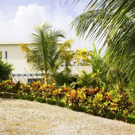 Image 9 - Río San Juan, María Trinidad Sánchez, Dominican Republic - House for rent