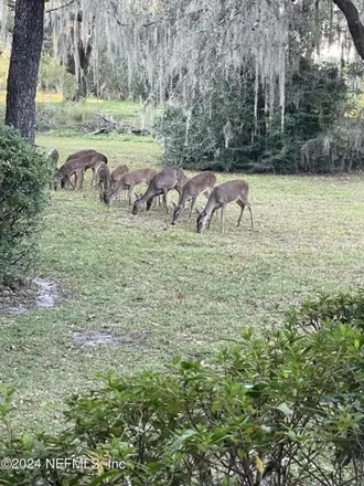 Image 9 - 3161 Ravines Road, Clay County, FL 32068, USA - Condo for sale