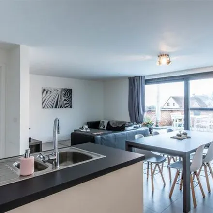 Image 3 - Tabaartstraat 16, 3740 Bilzen, Belgium - Apartment for rent