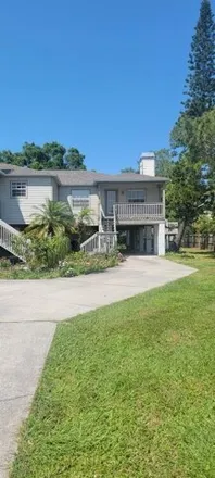 Image 2 - Oldsmar Trail, Oldsmar, FL 34677, USA - House for rent