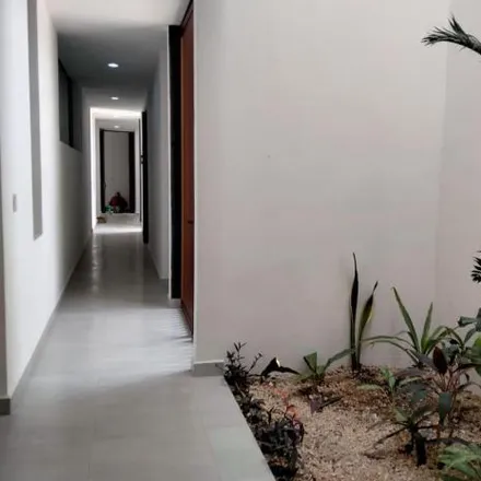 Rent this 3 bed apartment on Calle 12 in Santa Gertrudis Copó, 97113 Mérida