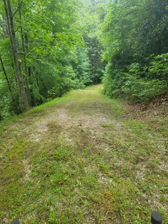 Image 2 - 336 Brush Creek Road, Swain County, NC 28713, USA - House for sale