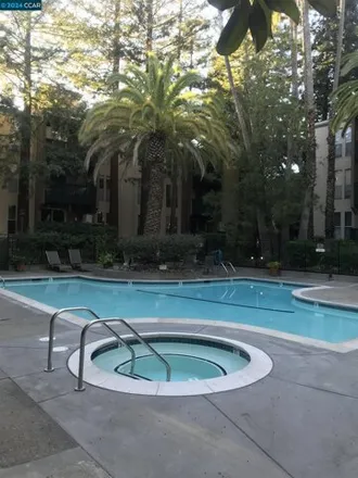 Rent this 1 bed condo on 175 Sierra Drive in Walnut Creek, CA 94596
