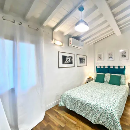 Rent this studio apartment on Via del Campuccio in 70, 50125 Florence FI
