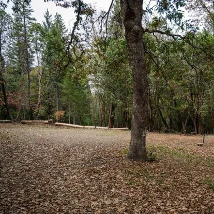 Image 4 - unnamed road, Trinity County, CA, USA - Apartment for sale
