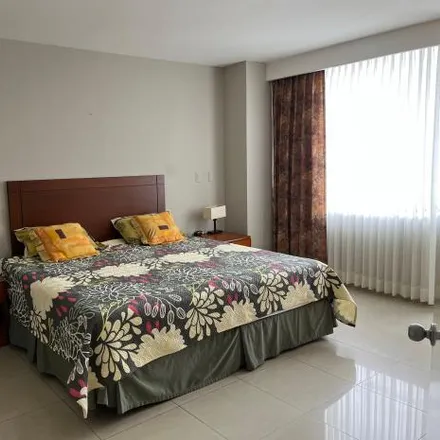 Rent this 1 bed apartment on Hilton Colon in Victor Hugo Sicouret P, 090506