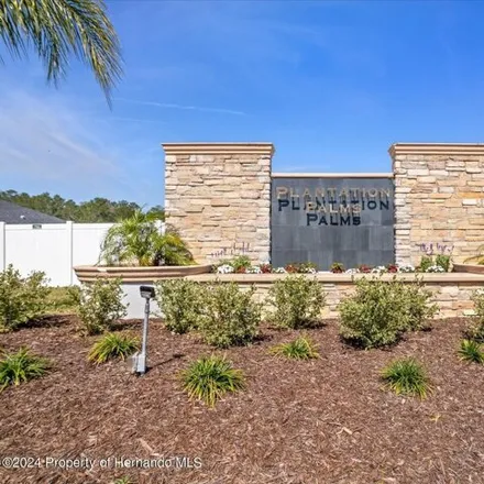 Image 8 - 3309 Ponytail Court, Spring Hill, FL 34609, USA - House for sale