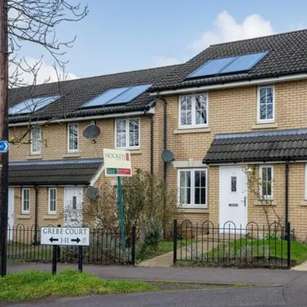 Buy this 3 bed townhouse on 6 Grebe Court in Cambridge, CB5 8FR