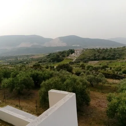 Image 2 - Ευαγγελιστρίας, Markopoulo, Greece - Apartment for rent