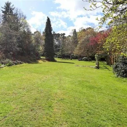 Image 6 - Dene Lane West, Farnham, GU10 3PT, United Kingdom - House for sale