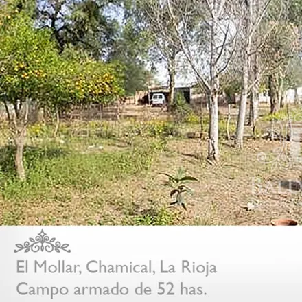 Image 1 - Ruta Provincial 1, Departamento Caleu Caleu, Municipio de Jacinto Aráuz, Argentina - Townhouse for sale