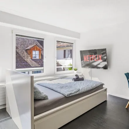 Rent this 1 bed apartment on Winterthur in Zurich, Switzerland