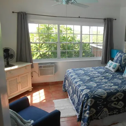Image 1 - Saint Croix District, US Virgin Islands, USA - House for rent