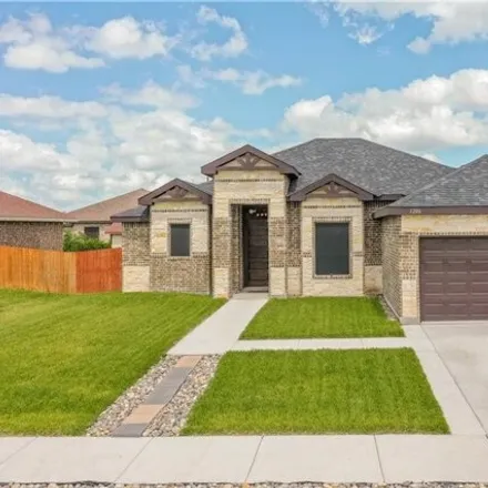 Buy this 4 bed house on 1206 Rio Panuco Ave in Harlingen, Texas